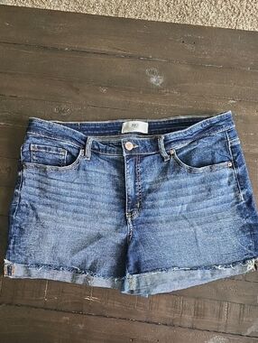 BKE Women's Blue Washed Denim Cutoff Shorts
